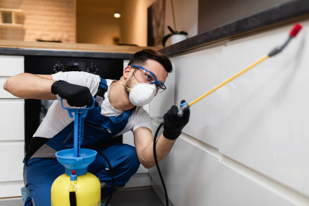 Best Pest Control Near Me  in Rushville, IN