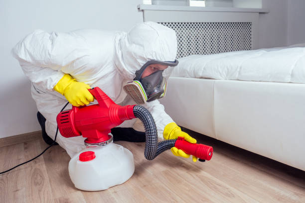 Best Local Pest Control Services  in Rushville, IN