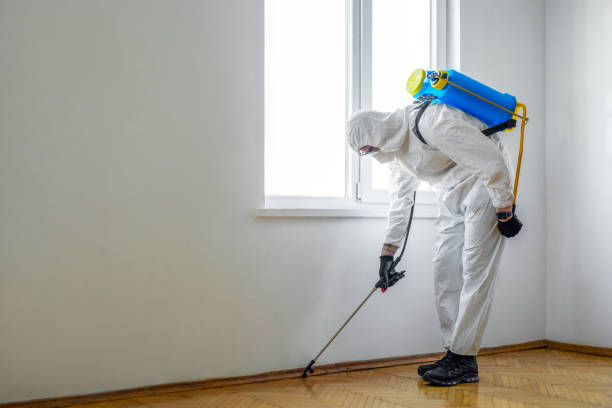 Best Emergency Pest Control  in Rushville, IN