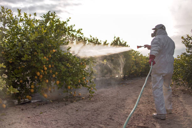 Best Pest Inspection Near Me  in Rushville, IN