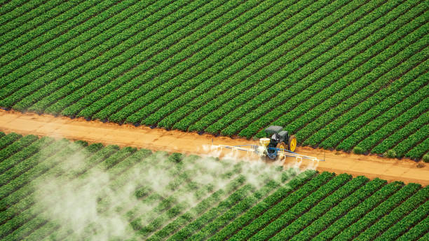 Best Pest Removal Services  in Rushville, IN
