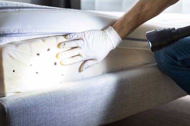 Best Best Pest Control Companies  in Rushville, IN