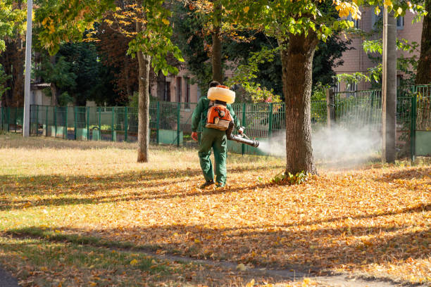 Bird Control in Rushville, IN