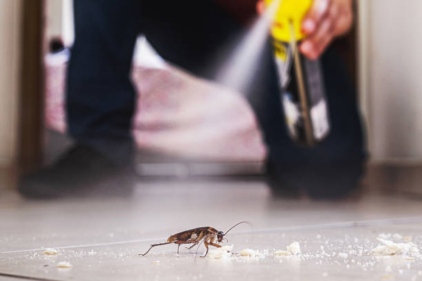 Professional Pest Control in Rushville, IN