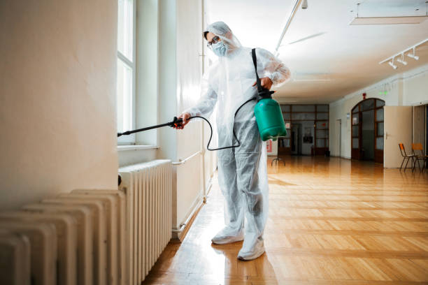 Best Wasp Removal Services  in Rushville, IN
